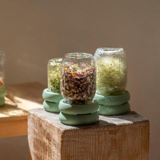 🌱 Každý zaváraninový pohár môže byť malou záhradkou! 🌱 Máte doma staré zaváraninové poháre? Nevyhadzujte ich – premeňte...